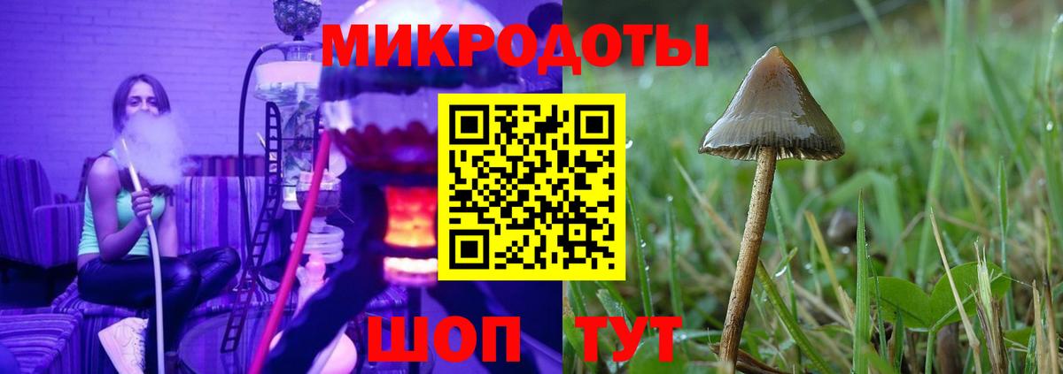 Кудымкар  Псилоцибиновые грибы прущие грибы  Галлюциногенные грибы GOLDEN TEACHER  Вход с VPN 